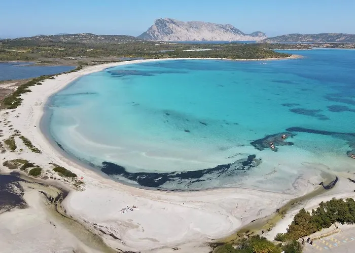 Iss Travel, Gli Asfodeli - Large With Private Terrace San Teodoro (Sardinia)